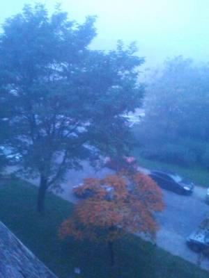 Mgła i bolesna melancholia. Rondo